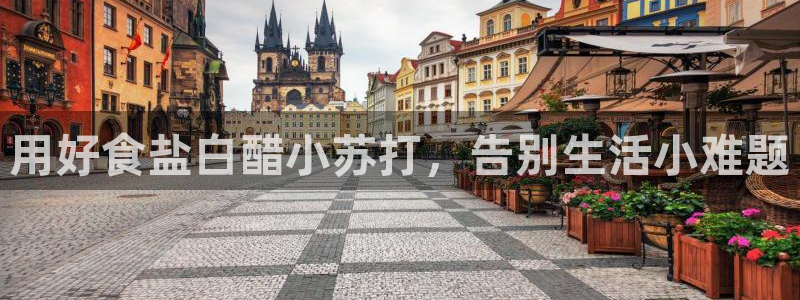 威九国际app大全下载安装