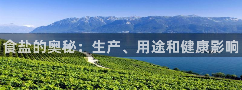 威九国际网站链接怎么打开