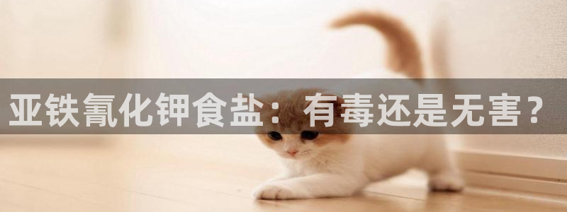 威九国际官网在线进入网站查询