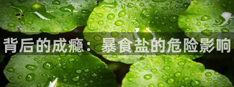 威九国际网站人入口