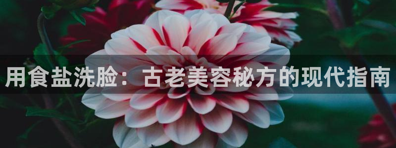 威九国际女艺人
