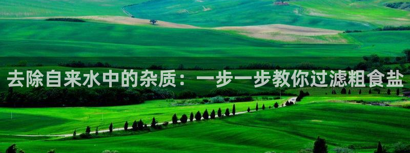 威九国际精忐