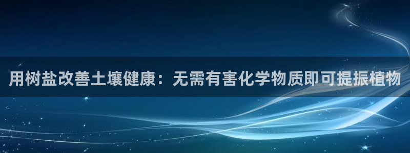 威九国际小说