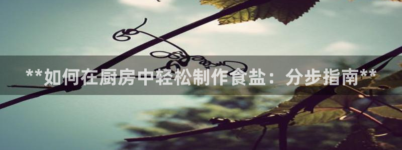 威九国际女神