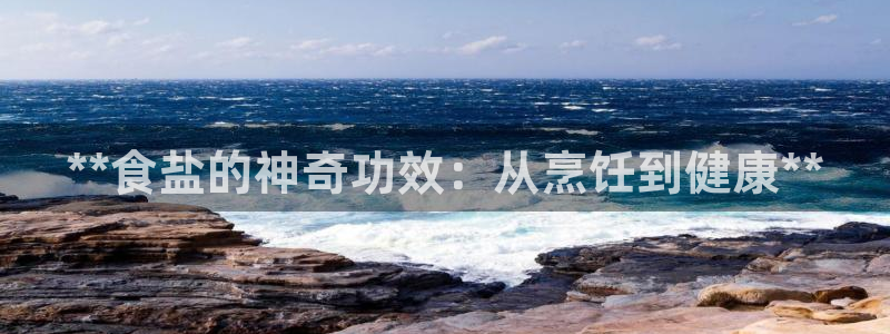 威九国际ppt免费