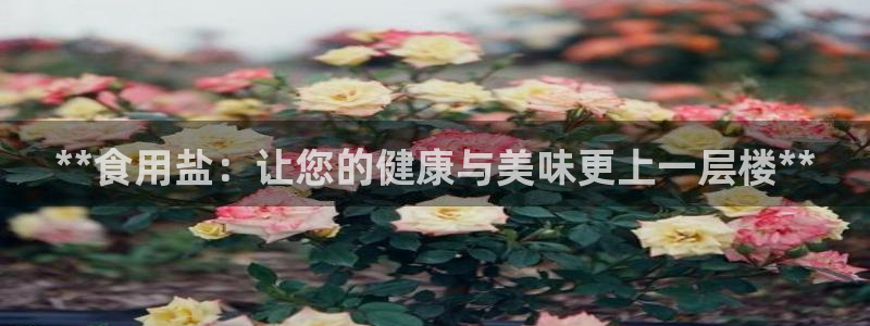 威九国际在线平台怎么样啊