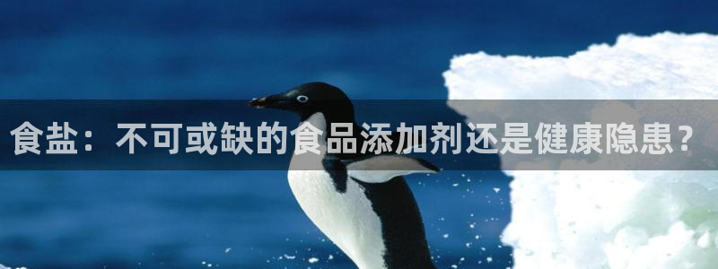 威九国际精彩推荐