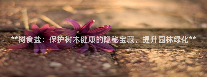 威九国际网站影视