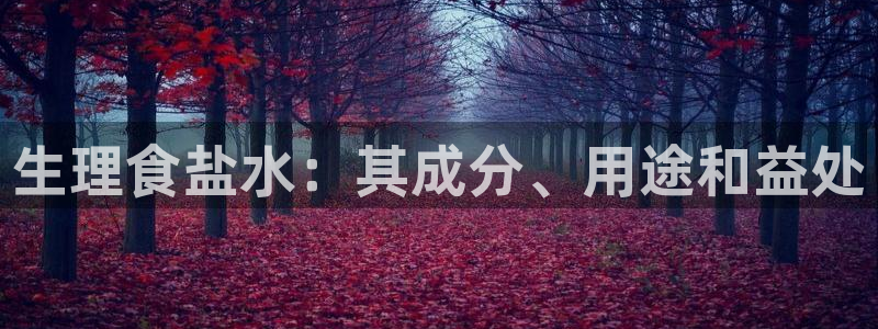 威九国际网站链接