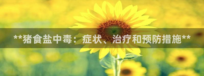 威九国际女艺人