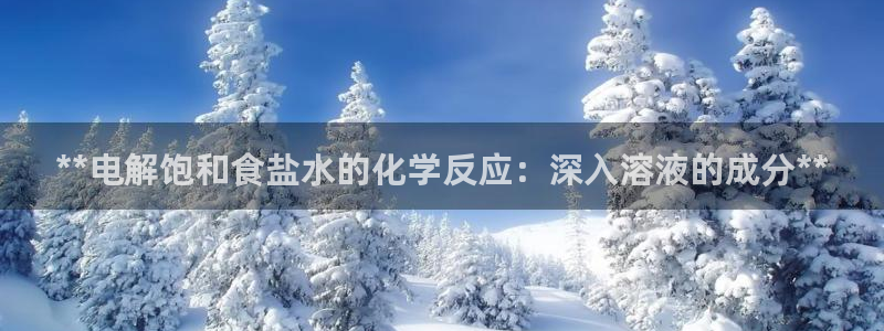 威九国际app客服电话