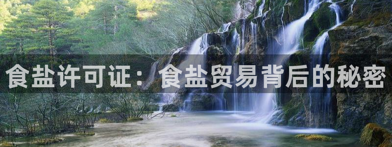威九国际v96BET