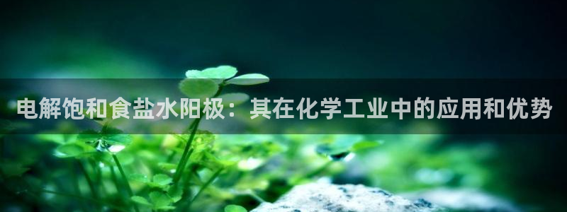 威九国际后爸