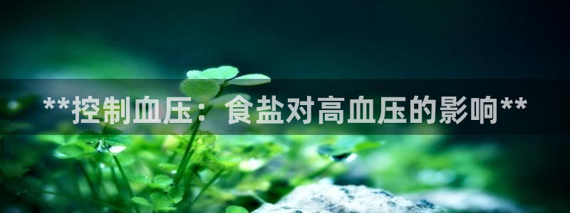 威九国际电影2022年9月月