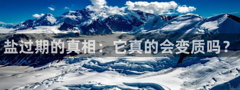 威九国际软件公司简介
