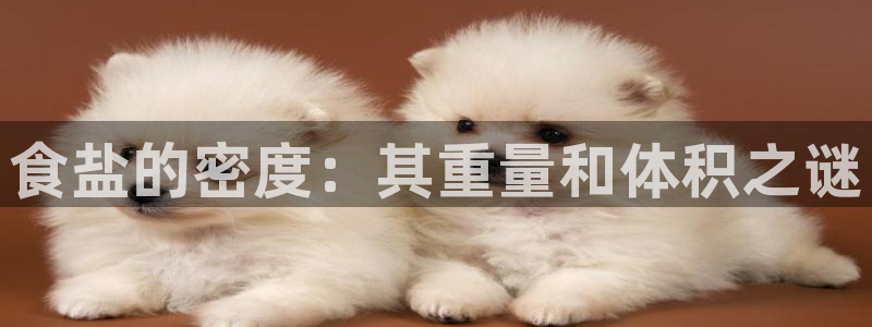 威九国际免费网络站