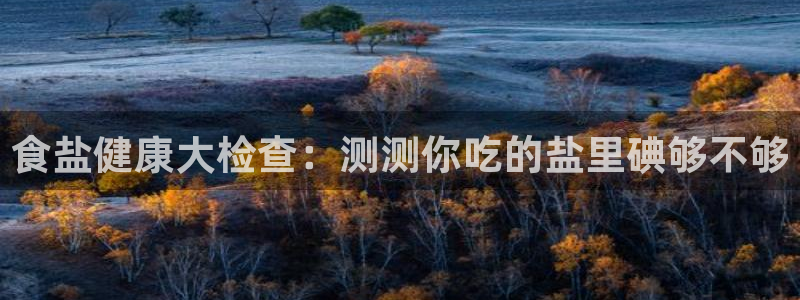 威九国际客服电话号码是多少