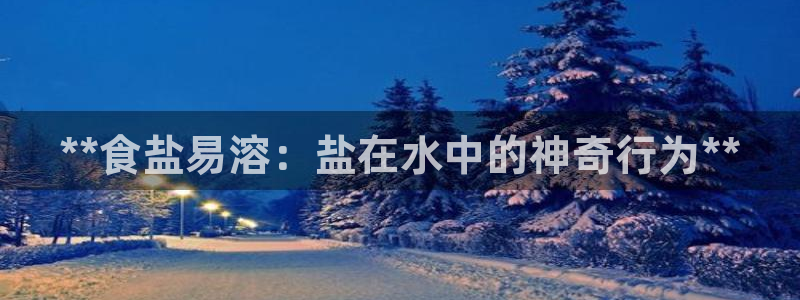 威九国际的演员