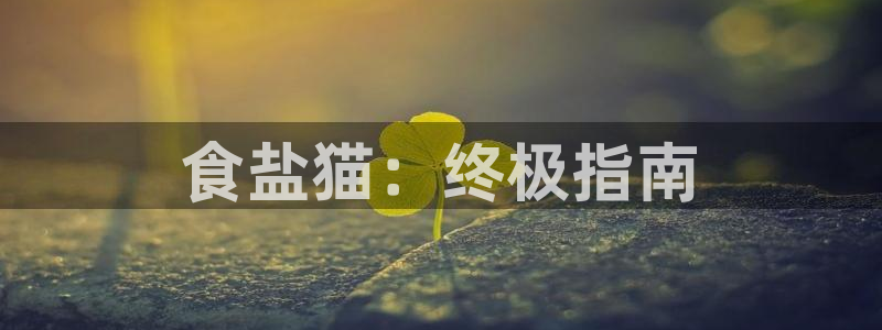 威九国际能提现吗是真的吗