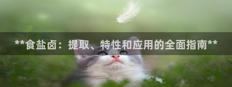 威九国际网站进入产品中心怎么进