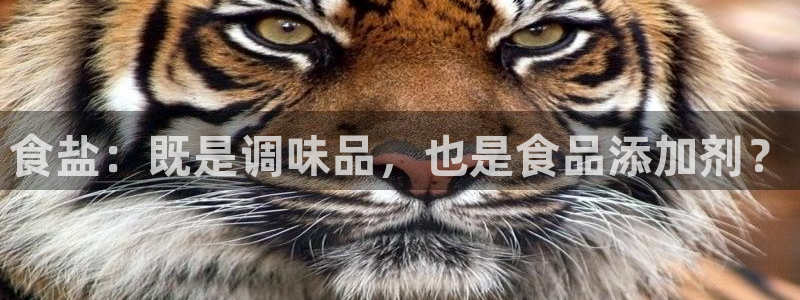 威九国际app下载