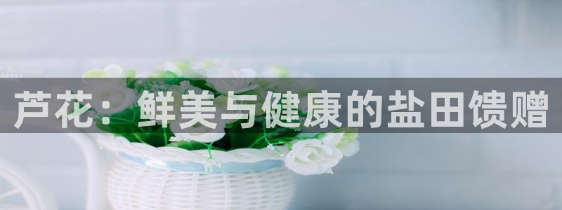 威九国际旗下艺人