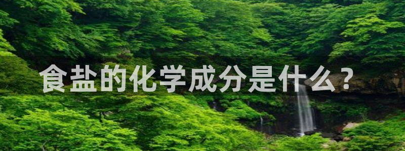 威九国际66m