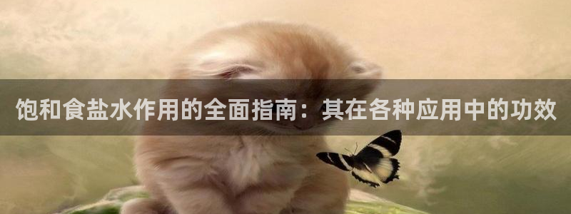 威九国际图片