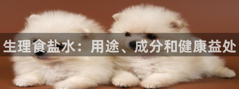 威九国际网站链接怎么打开