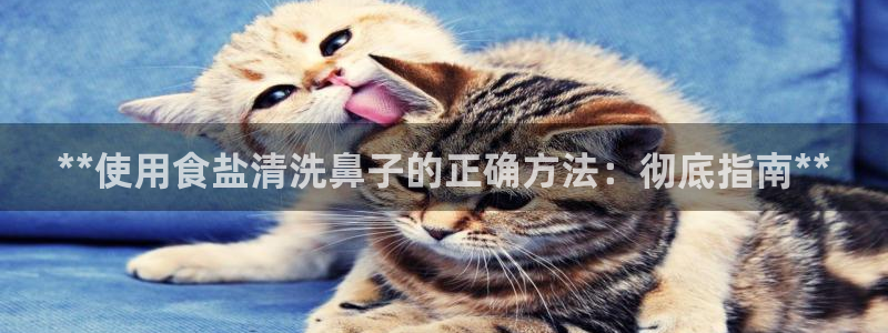 威九国际高清