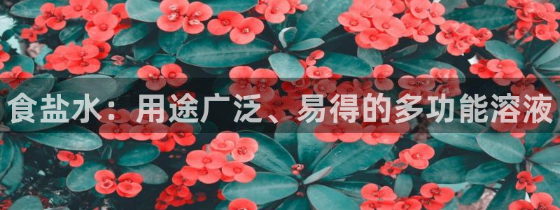 威九国际v96.81t