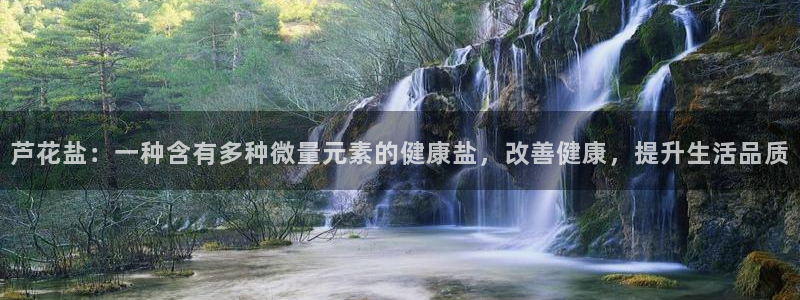 威九国际清砖码头在哪