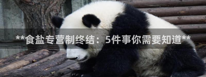 威九国际正规吗