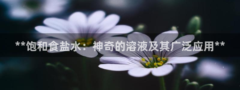 威九国际v96242cc官网版