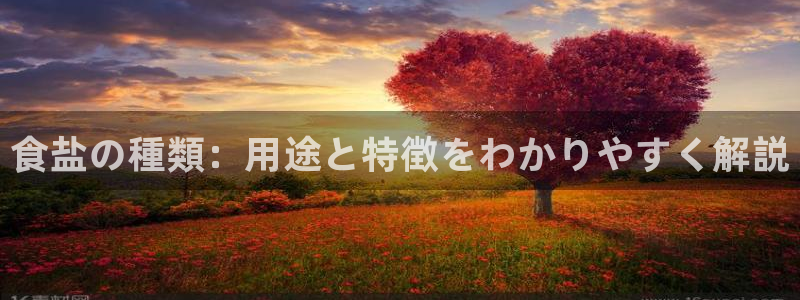 威九国际66m66模式视频