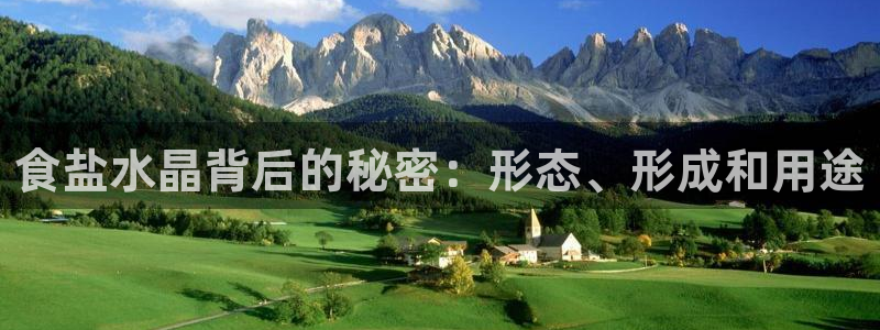 威九国际客服电话号码