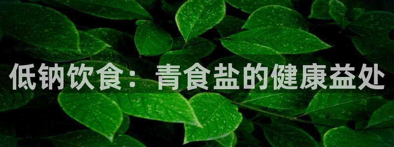 威九国际v9