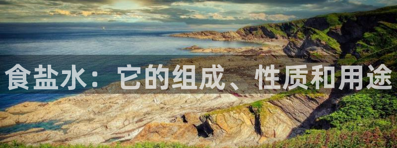 威九国际网站经常打不开