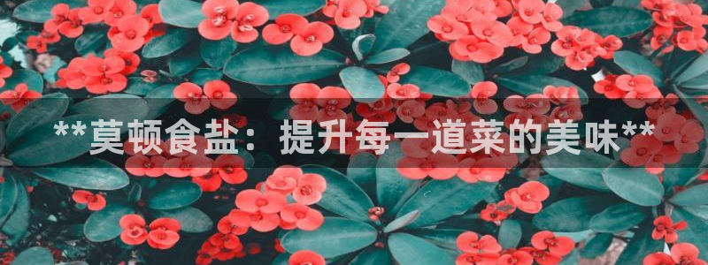 威九国际PPT