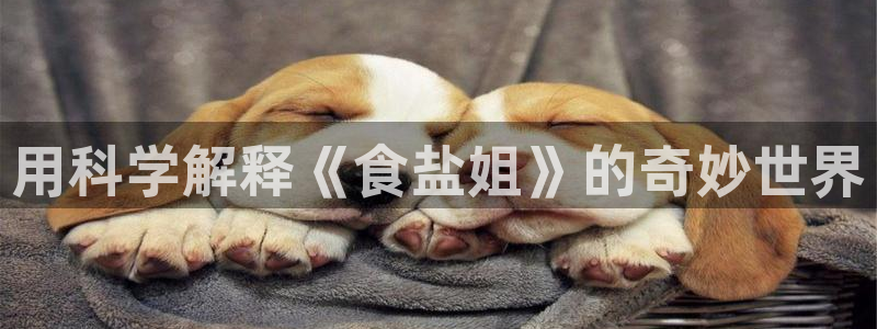 66m威九国际成长模式