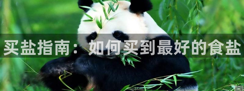 威九国际网站进入(中国)有限公司-官网