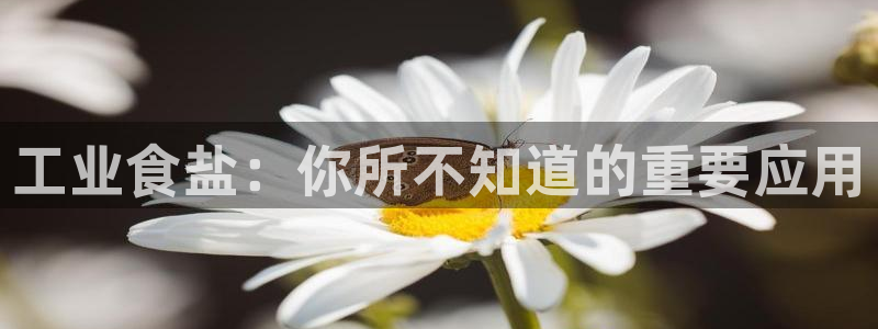威九国际8ⅹ8x