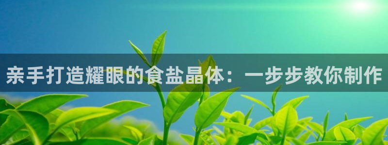 威九国际官方下载