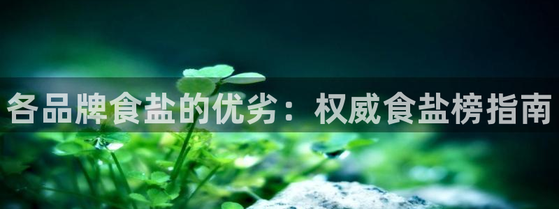 威九国际网站链接