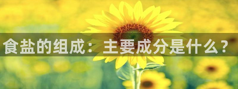 威九国际惠子
