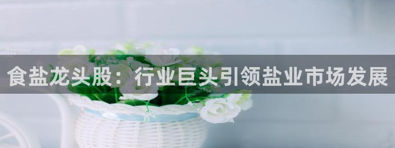 威九国际人民网招聘