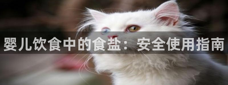 威九国际APP那个地方