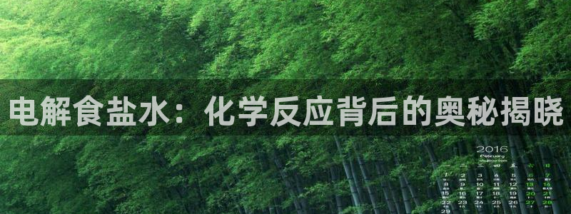 威九国际网站游戏