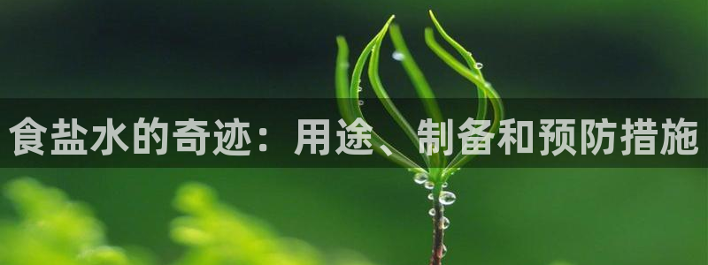 威九国际78mb游戏
