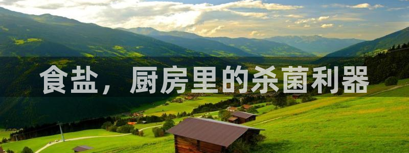 威九国际w98